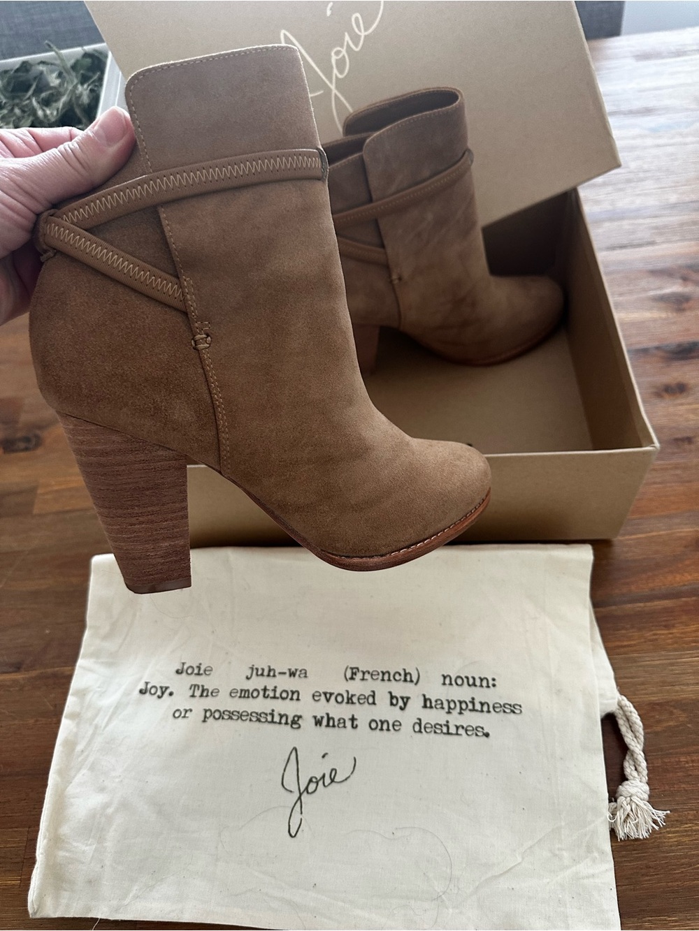 Joie Taupe Suede Wrap Ankle Booties - Picture 2 of 12